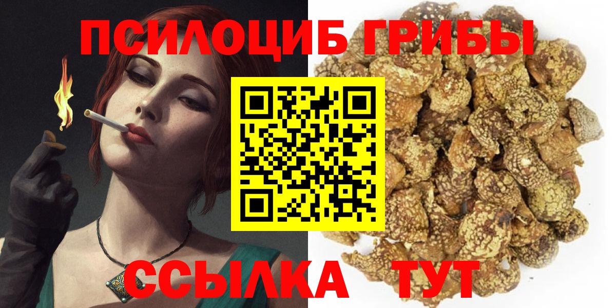 Псилоцибиновые грибы мицелий Асино