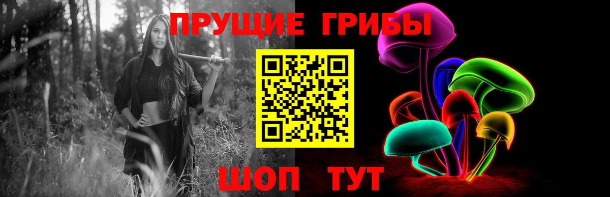 где купить   Галлюциногенные грибы ЛСД  Галлюциногенные грибы Cubensis  Вход с VPN  Асино 